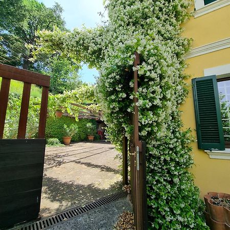 Casa Zia Cianetta Residenza Di Campagna Guest House Capodacqua  Exterior photo
